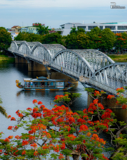 Huế - Mùa hoa phượng vĩ